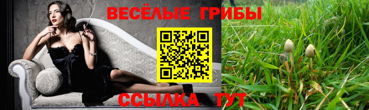 Галлюциногенные грибы Magic Shrooms  где купить наркоту  Глазов  Вход с VPN 